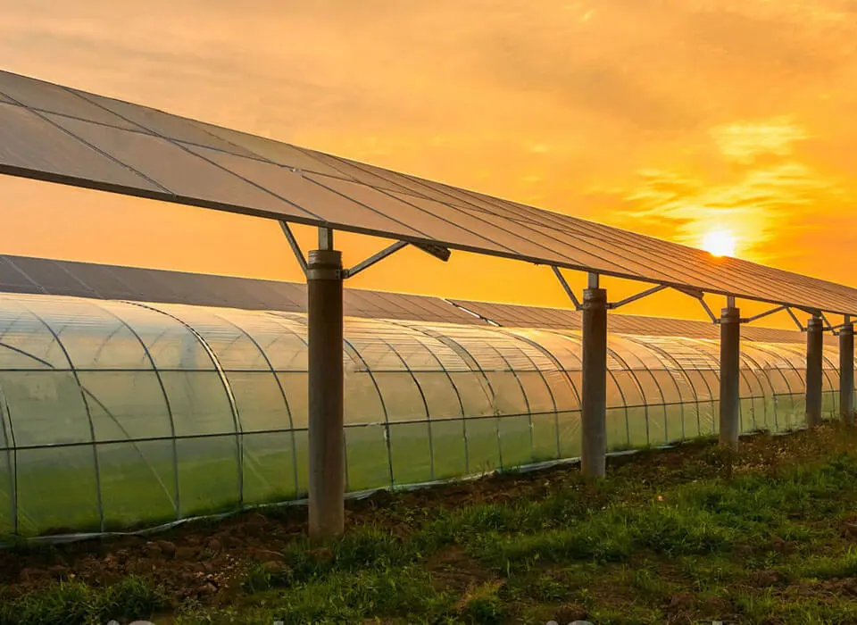 Fotovoltaïsche oplossing voor de landbouw