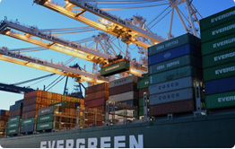 Streamlining Trade: Container Shipping, Logistics Solutions, and Finding an Efficient Shipper from China to Jamaica