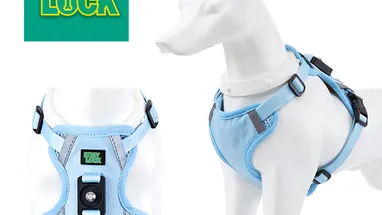 Durability Testing Standards for Outdoor Pet Hardware Components