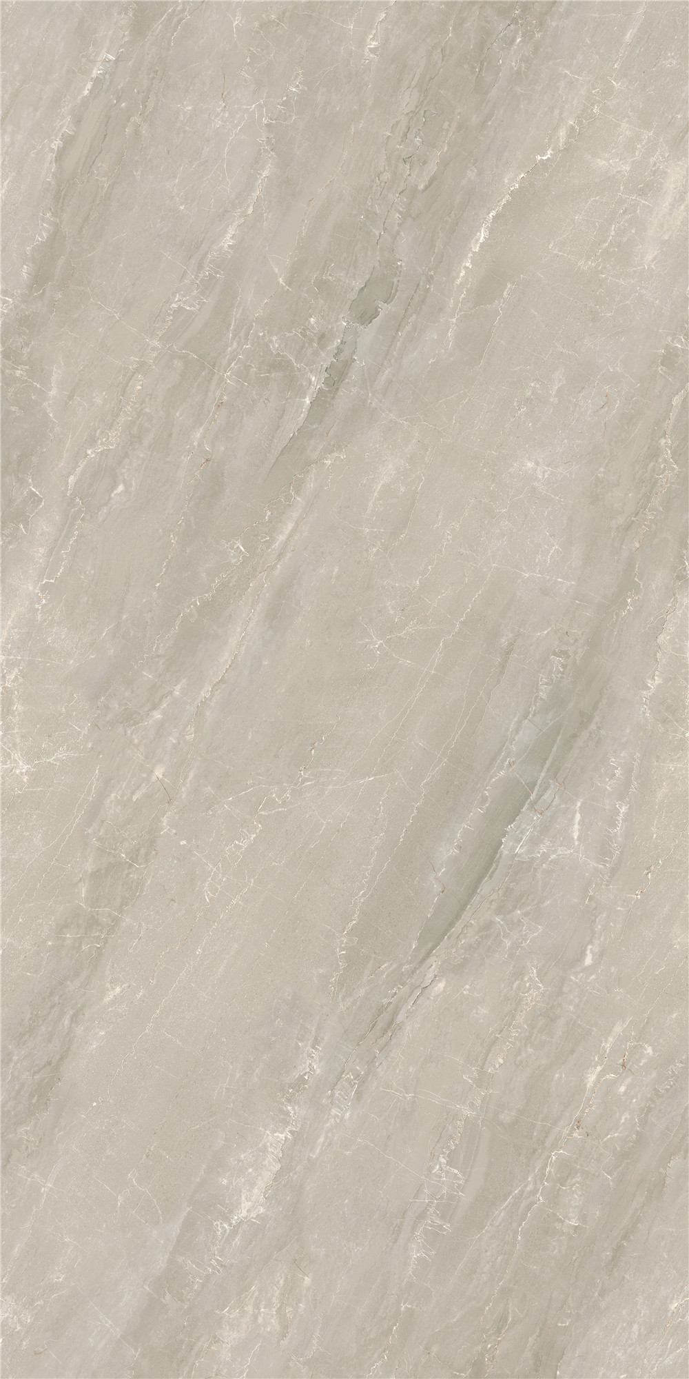 Close-up of a dark textured slate tile showing intricate mineral patterns and rugged natural edges