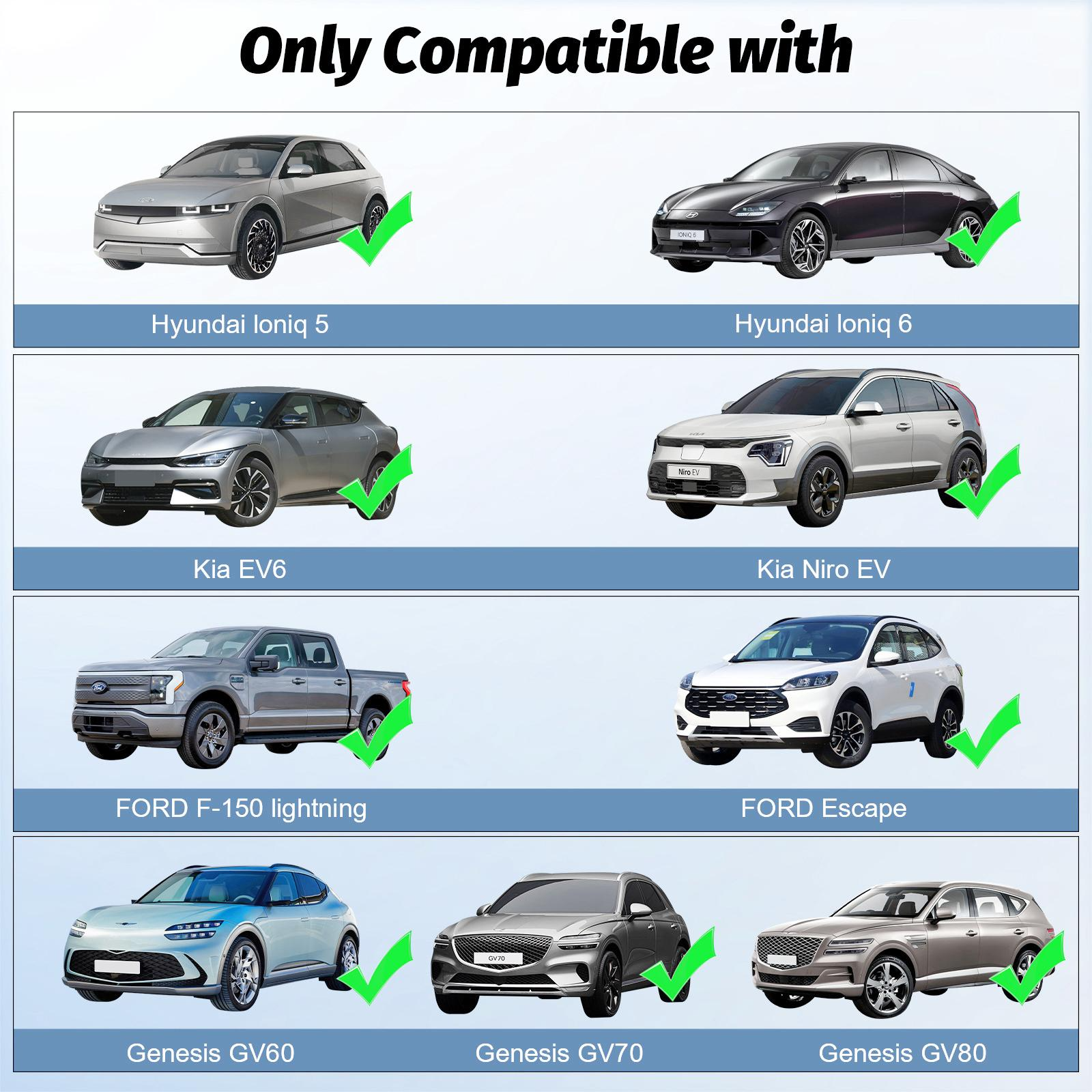 Amerikanische Standard-Entladepistole Typ 1 New Energy Vehicle Netzteil SAE J1772 externer Entladungswandlerkopf Stromversorgung