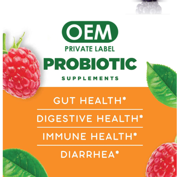 OEM Private Label Prebiotische en Probiotische Gummies Biologische Veganistische Vitamine gummy Immuunondersteuning