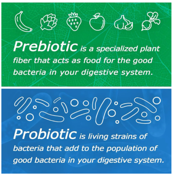 OEM Private Label Probiotic powder for MEN&WOMEN&KIDS Probiotic supplement Freeze-Dried Lactobacillus powder