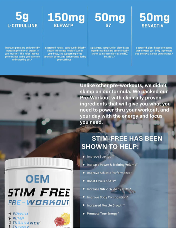 OEM Private powder Stim free pre workout powder pumps,Focus,Stamina,muscle energy supplement