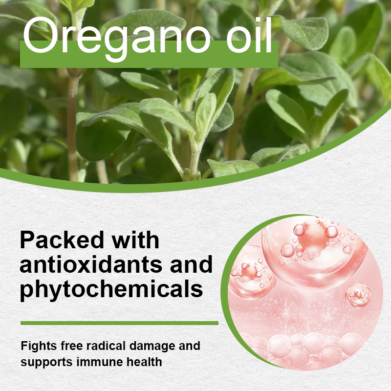 HOT Selling Manufacturer Oregano Oil Drops for Men and Women, Support Logo Customization and Label Printing