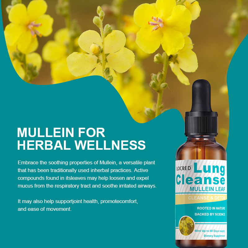 wholesale OEM/ODM Private label Mullein Leaf Liquid Extract Lung Detox & Respiratory Cleanse Drops