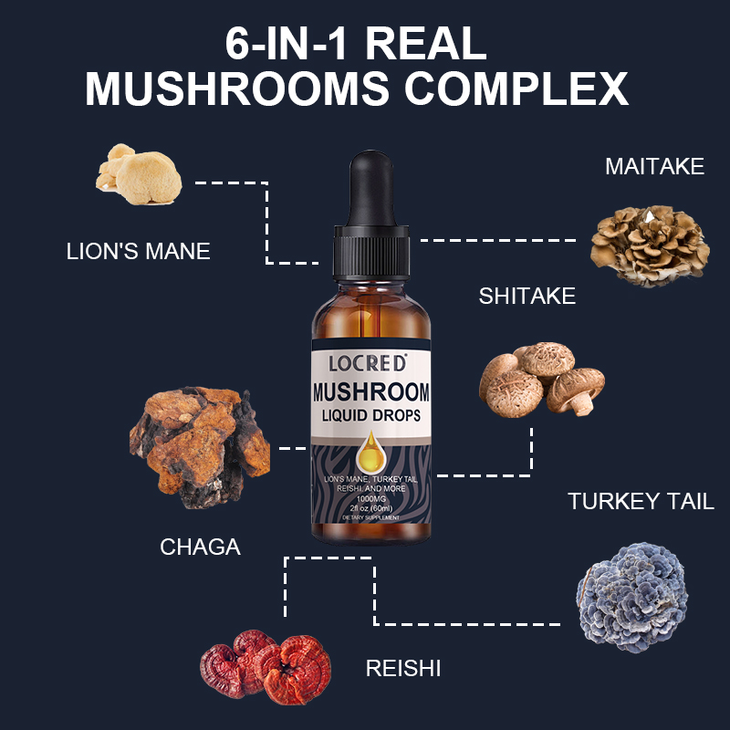 60ml  mushroom oral liquid drop for brain health immune system