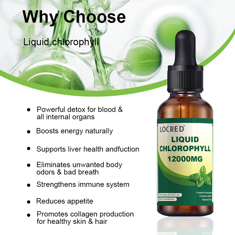 OEM High quality manufacturer Chlorophyll Drops for men and women, Support logo customization and label printing, 60 ML