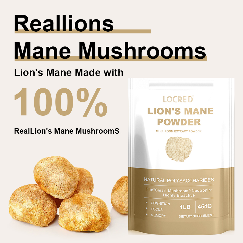 OEM Organic Lions Mane Mushroom Powder Nootropic for Mental Clarity Energy & Immune Support