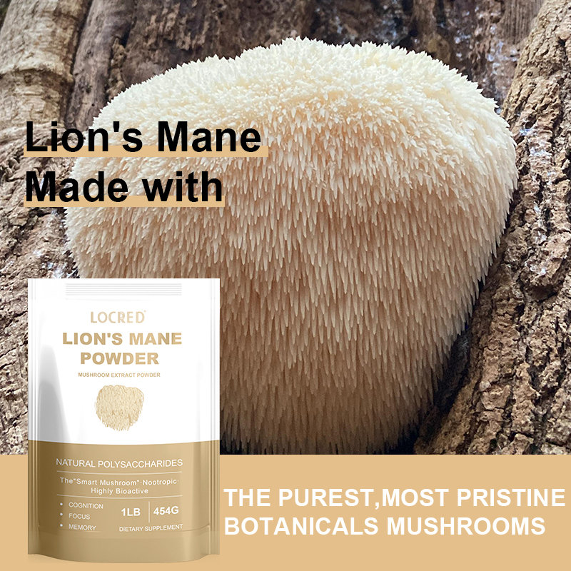 OEM Organic Lions Mane Mushroom Powder Nootropic for Mental Clarity Energy & Immune Support