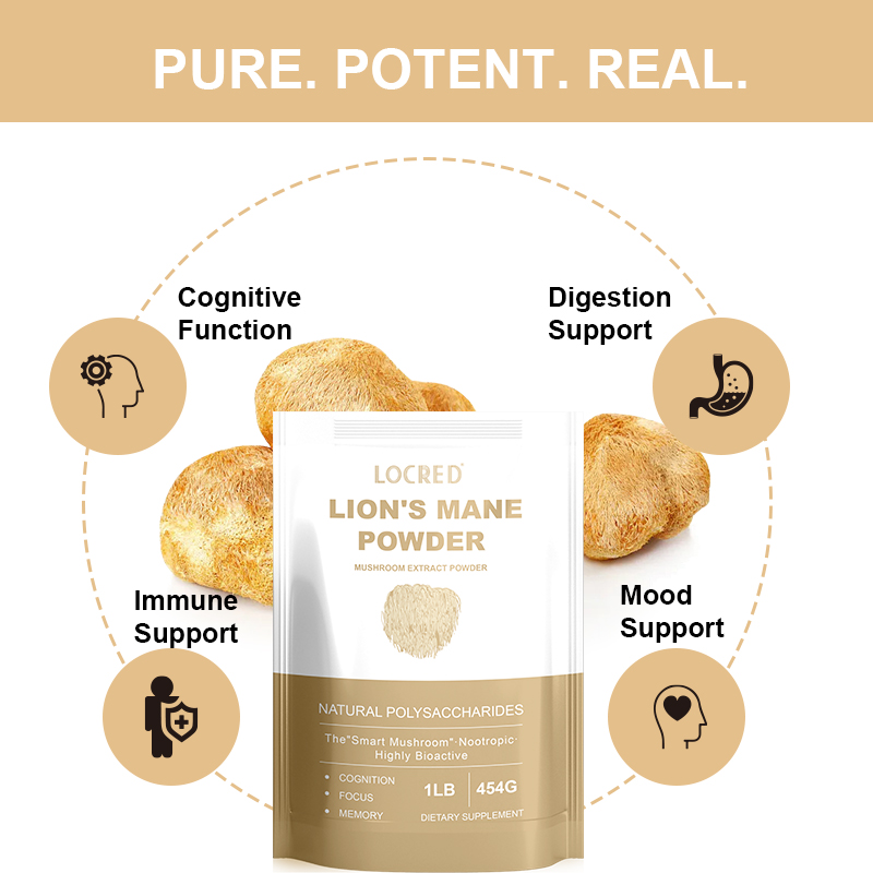 OEM Organic Lions Mane Mushroom Powder Nootropic for Mental Clarity Energy & Immune Support