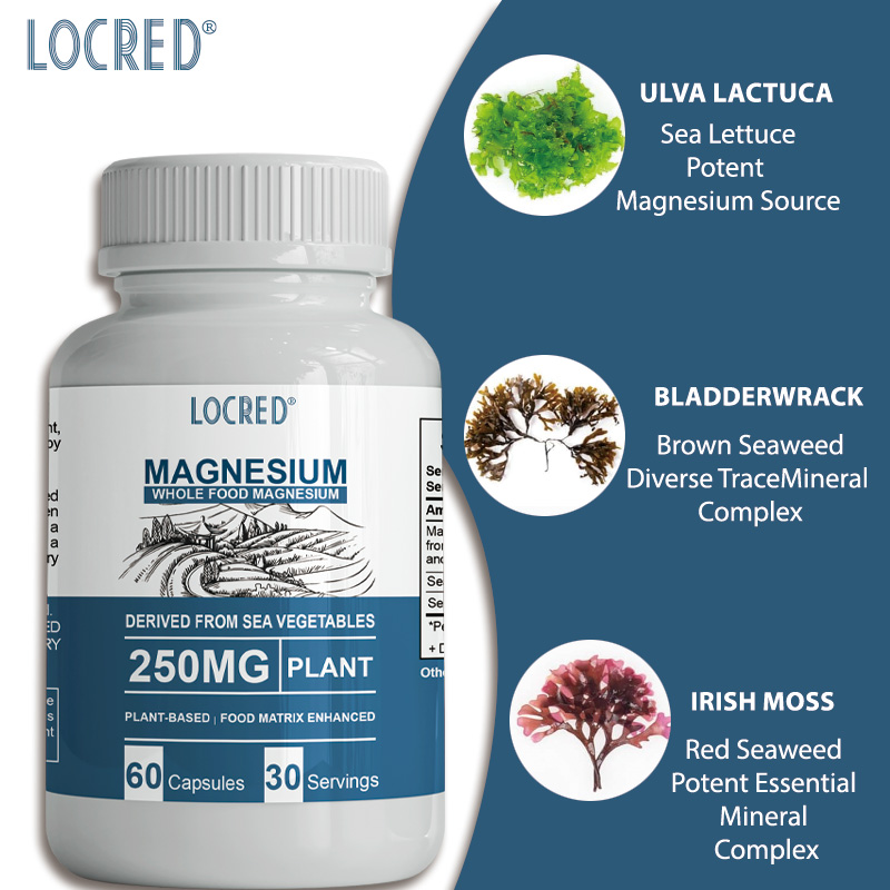 Whole Food 250MG Magnesium Capsule Dietary supplements