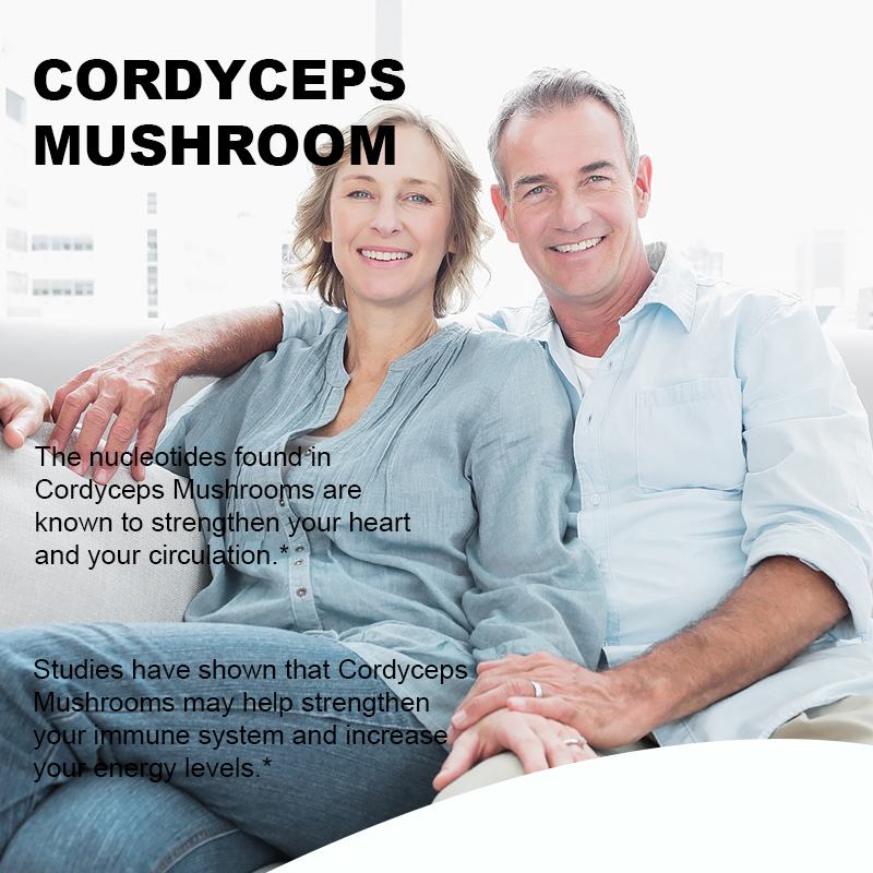 Quality Cordyceps Fungus and Mushroom Alcohol-Free Tincture Liquid Extract Drops Herbal Supplement