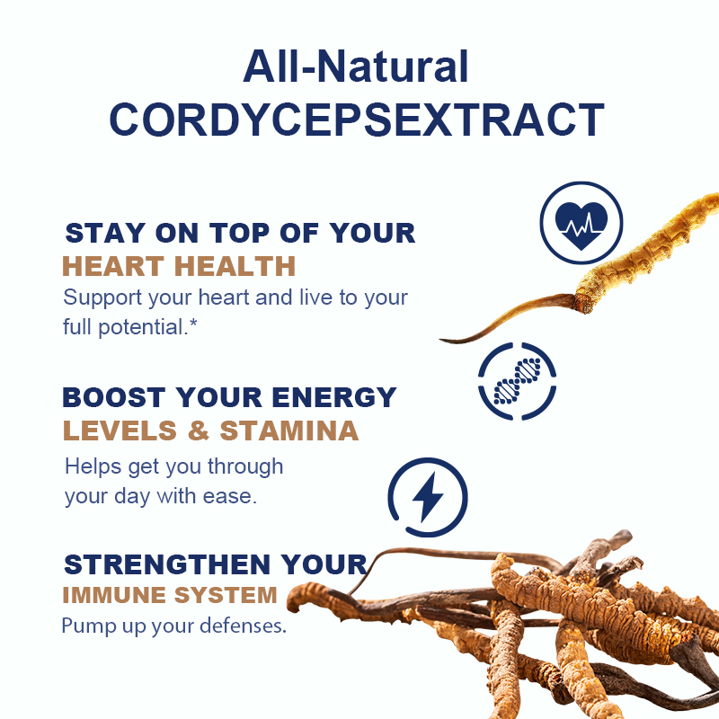 Quality Cordyceps Fungus and Mushroom Alcohol-Free Tincture Liquid Extract Drops Herbal Supplement