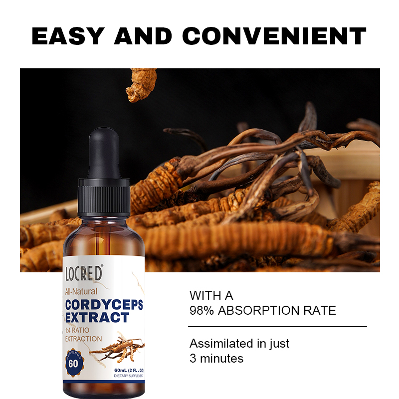 Quality Cordyceps Fungus and Mushroom Alcohol-Free Tincture Liquid Extract Drops Herbal Supplement