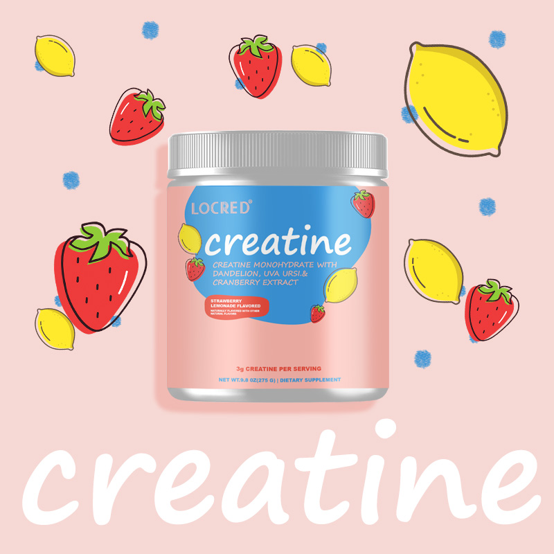 Creatine Monohydrate Promotes Strength And Muscle Growth Protien Powder