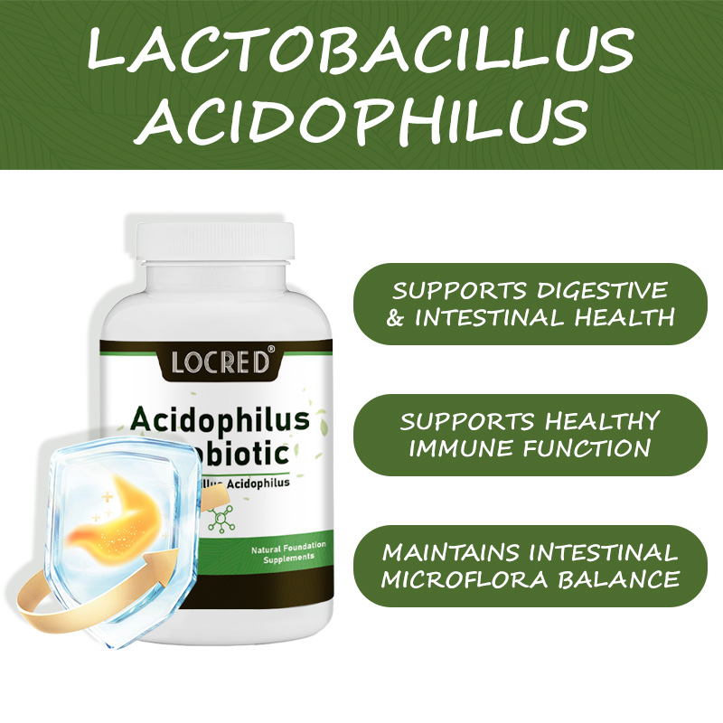 Acidophilus Probiotic Capsule Dietary Supplement Natural Ingredients