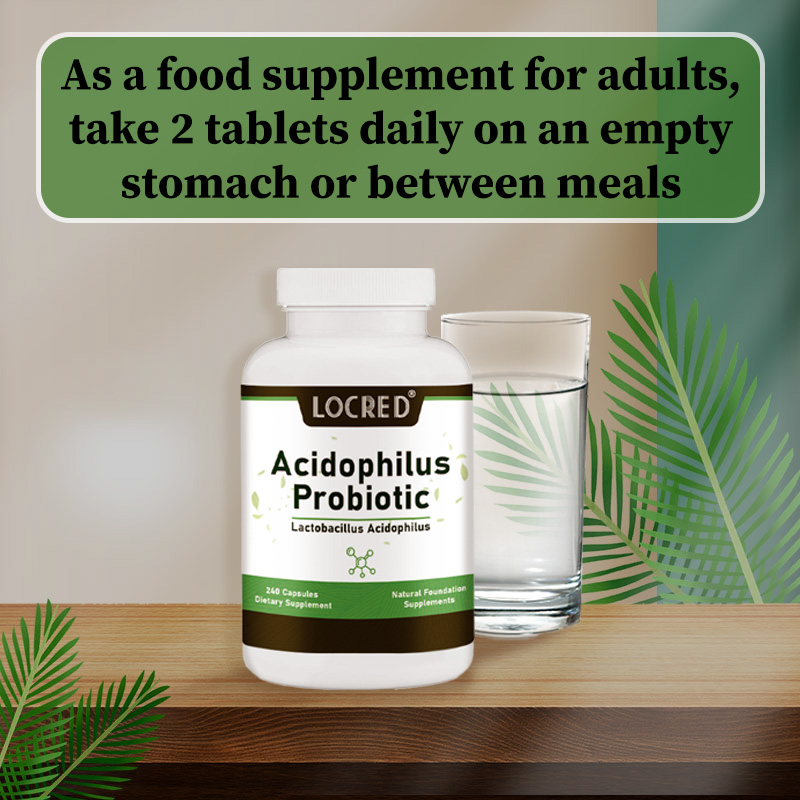 Acidophilus Probiotic Capsule Dietary Supplement Natural Ingredients