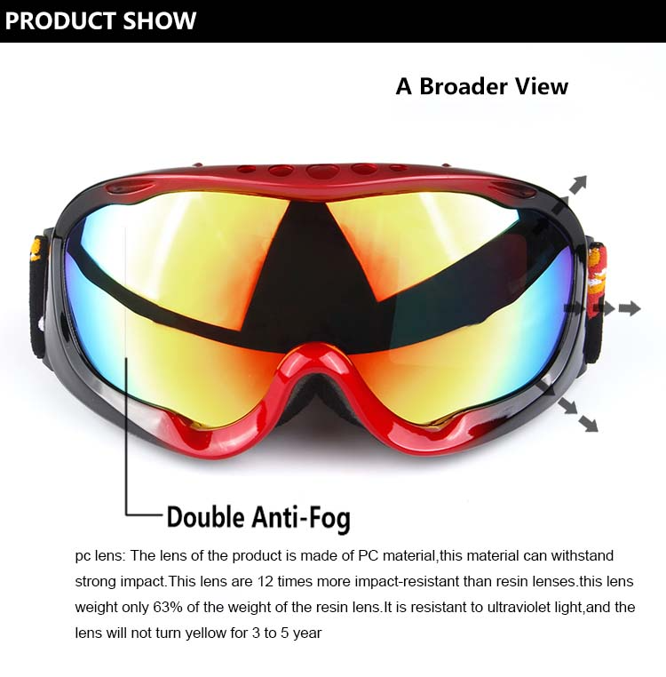 Ski Glasses H005