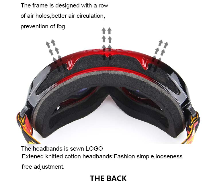 Ski Glasses H005