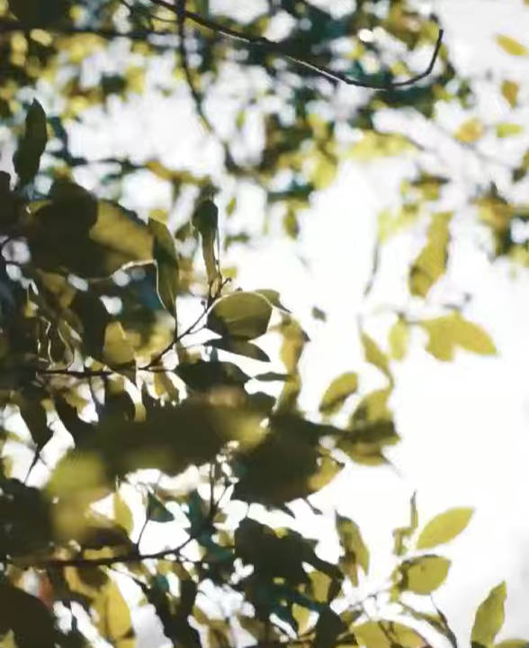 Is Your Calcium Going to the WRONG Places?