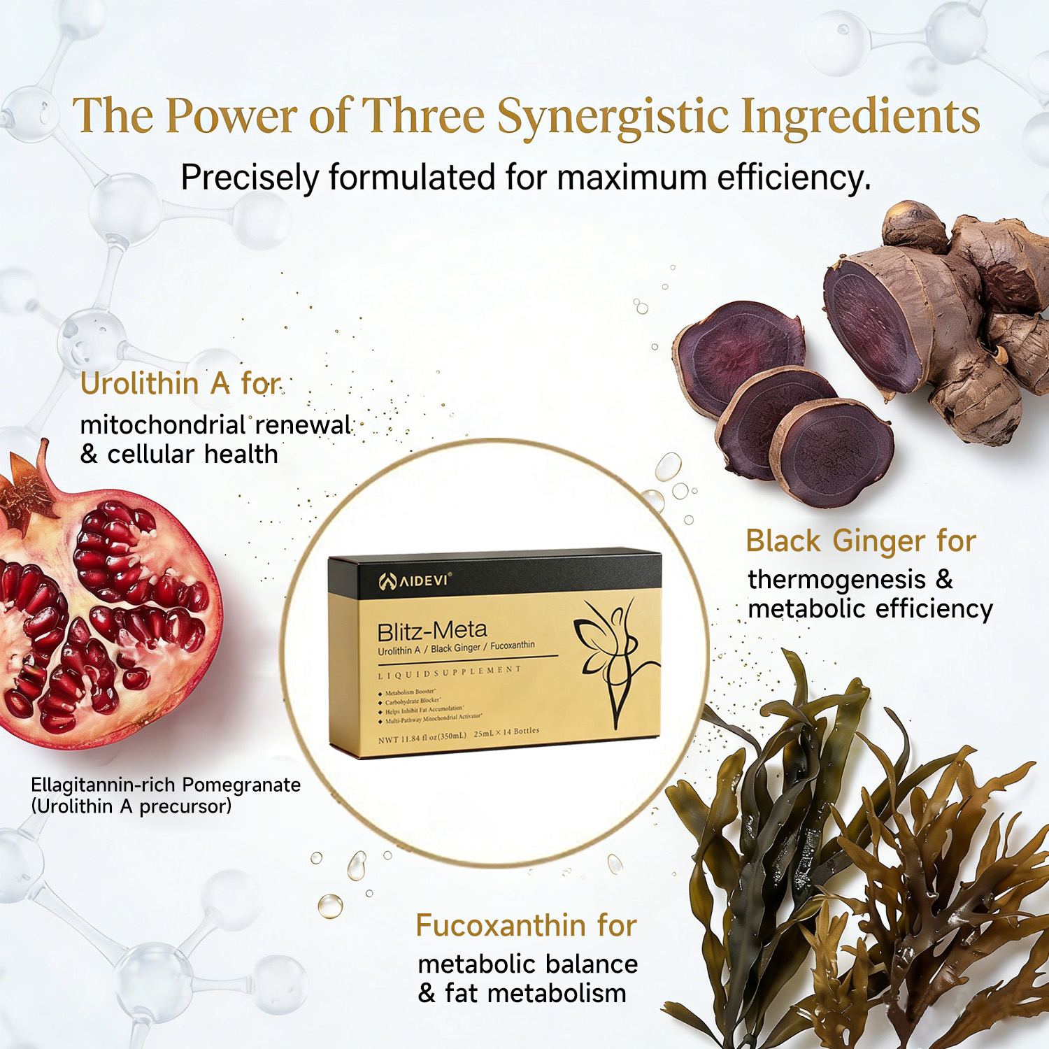 AIDEVI Blitz-Meta | Liquid Metabolism Booster & Mitochondrial Activator