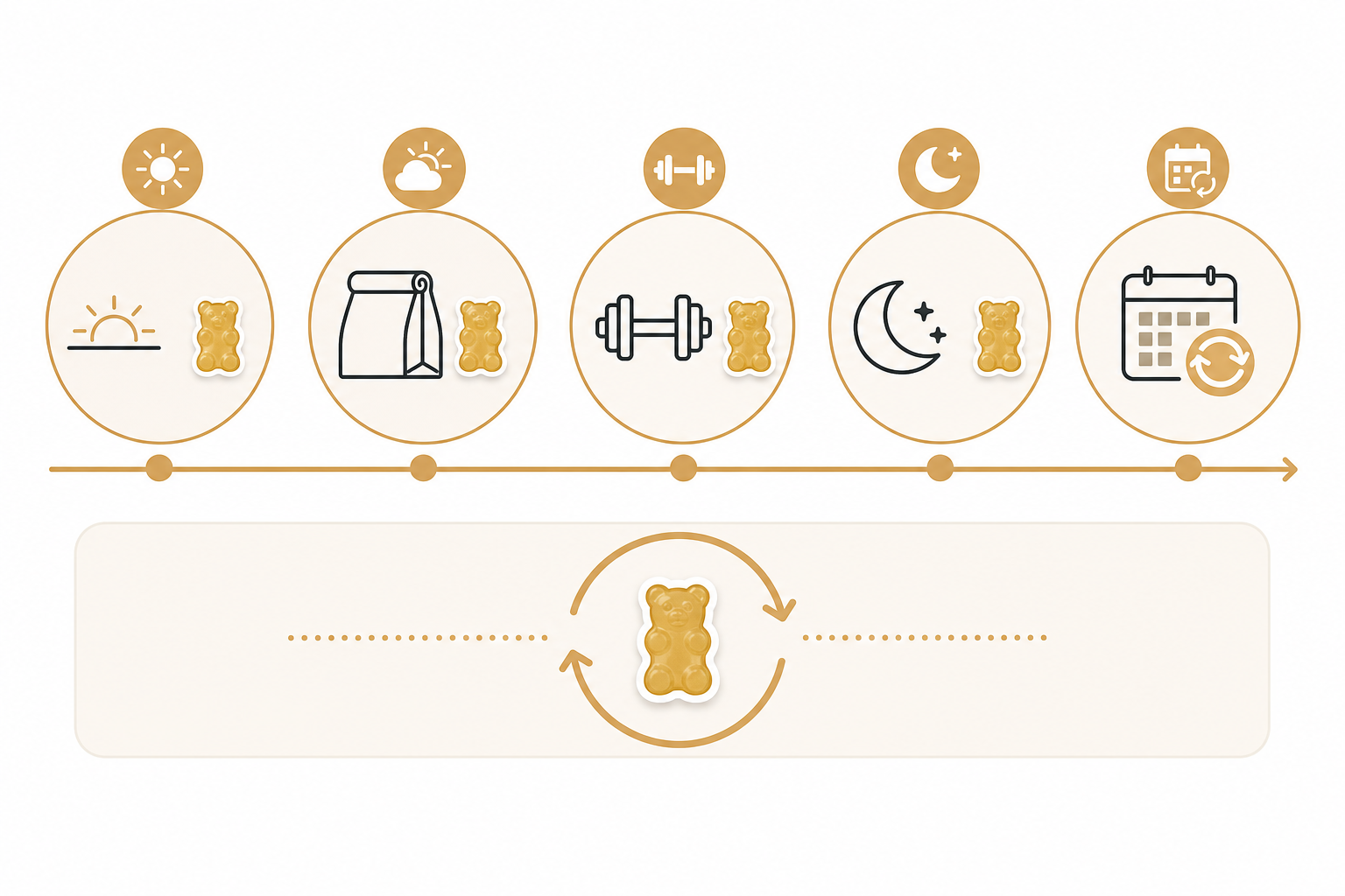 Daily routine timeline showing possible creatine gummy timing anchors from morning through evening