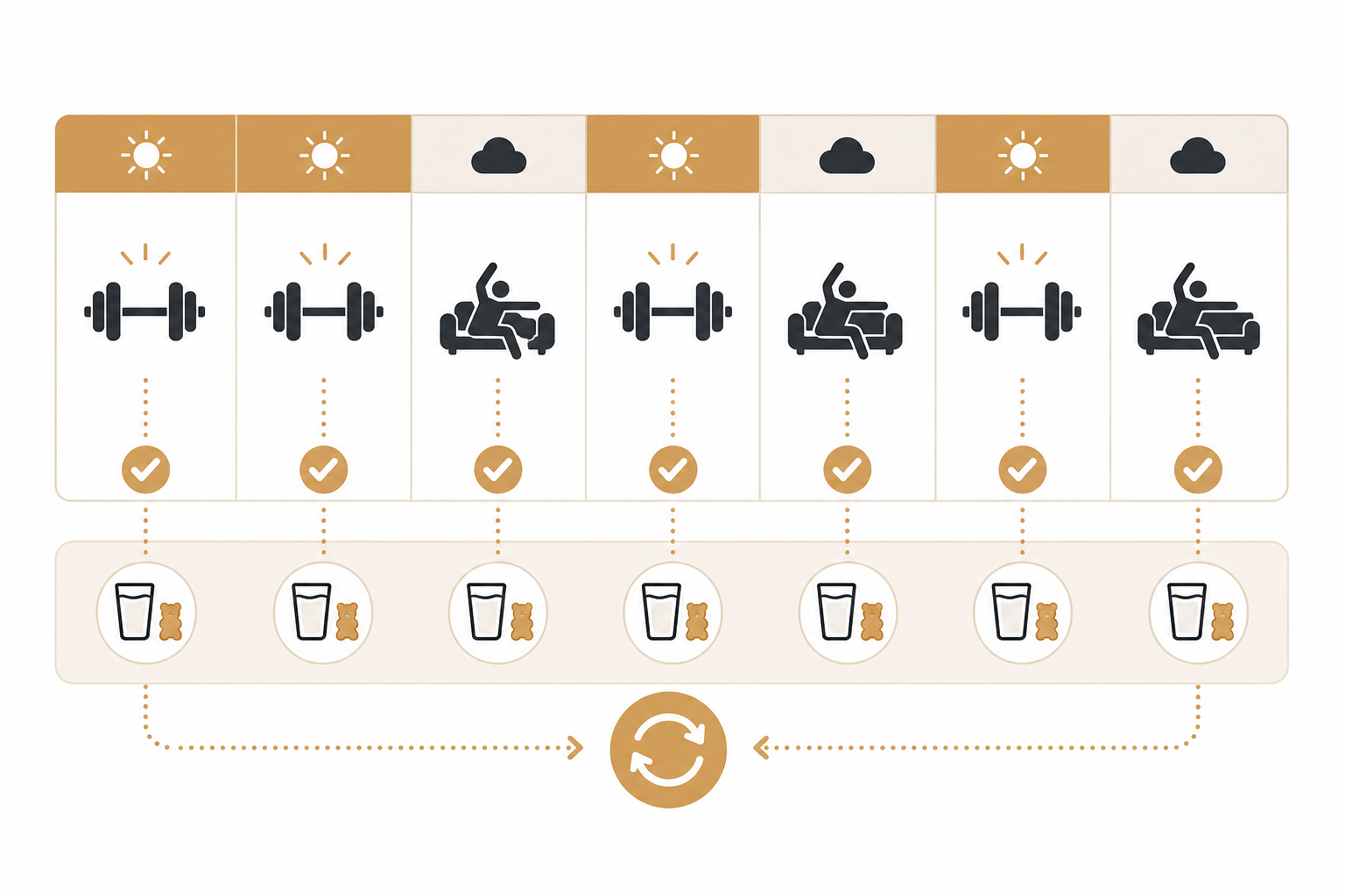 Weekly calendar infographic showing workout days and rest days connected by a repeated creatine habit
