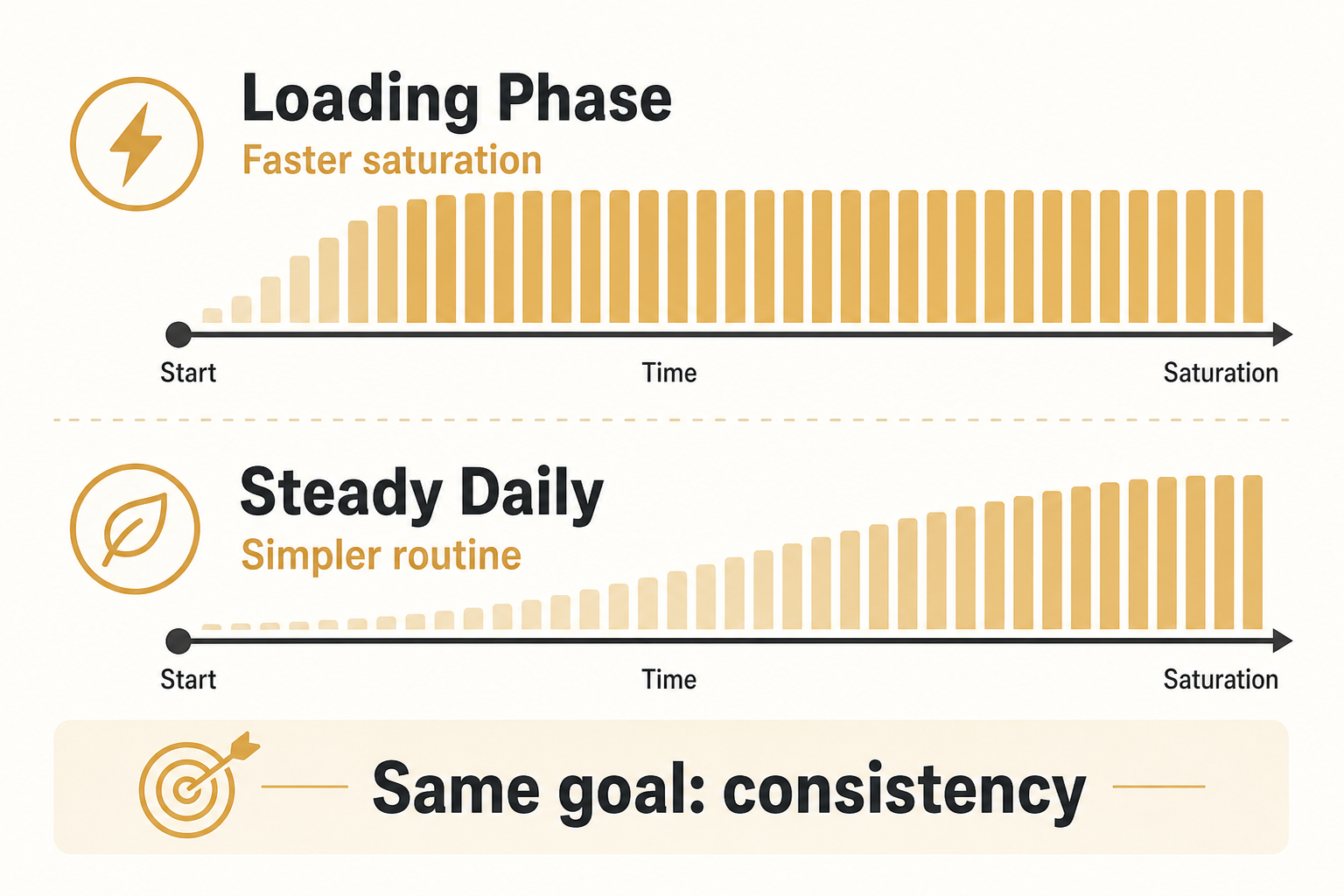Timeline graphic comparing creatine loading phase and steady daily creatine use