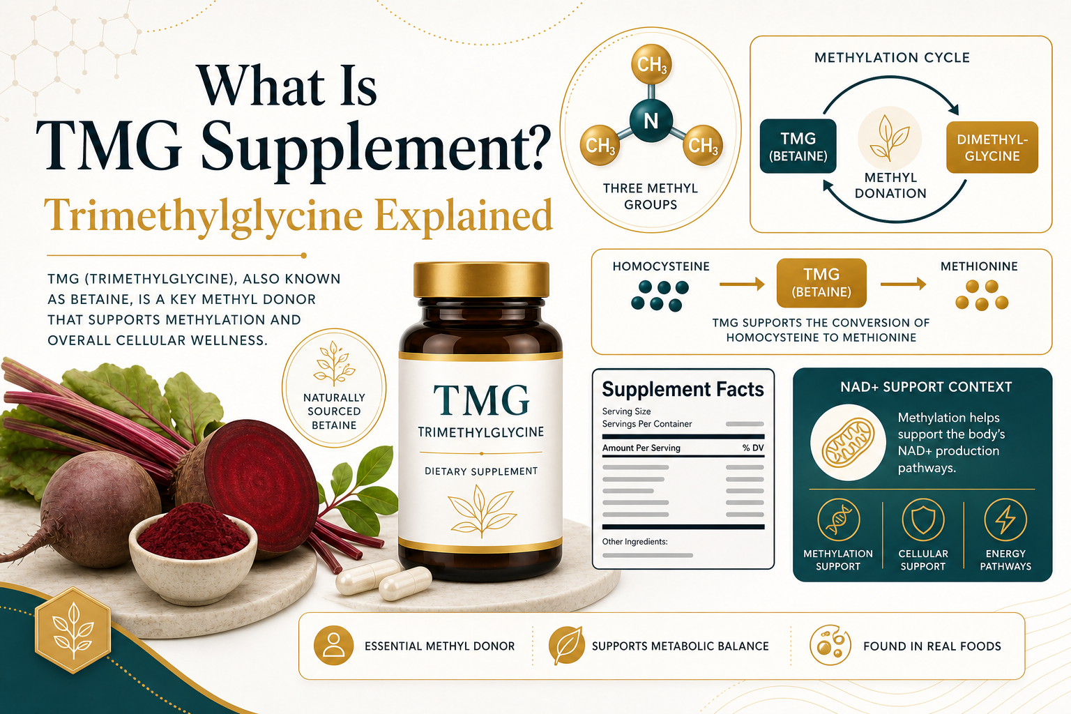 TMG Supplement Explained: Trimethylglycine, Betaine & Methylation