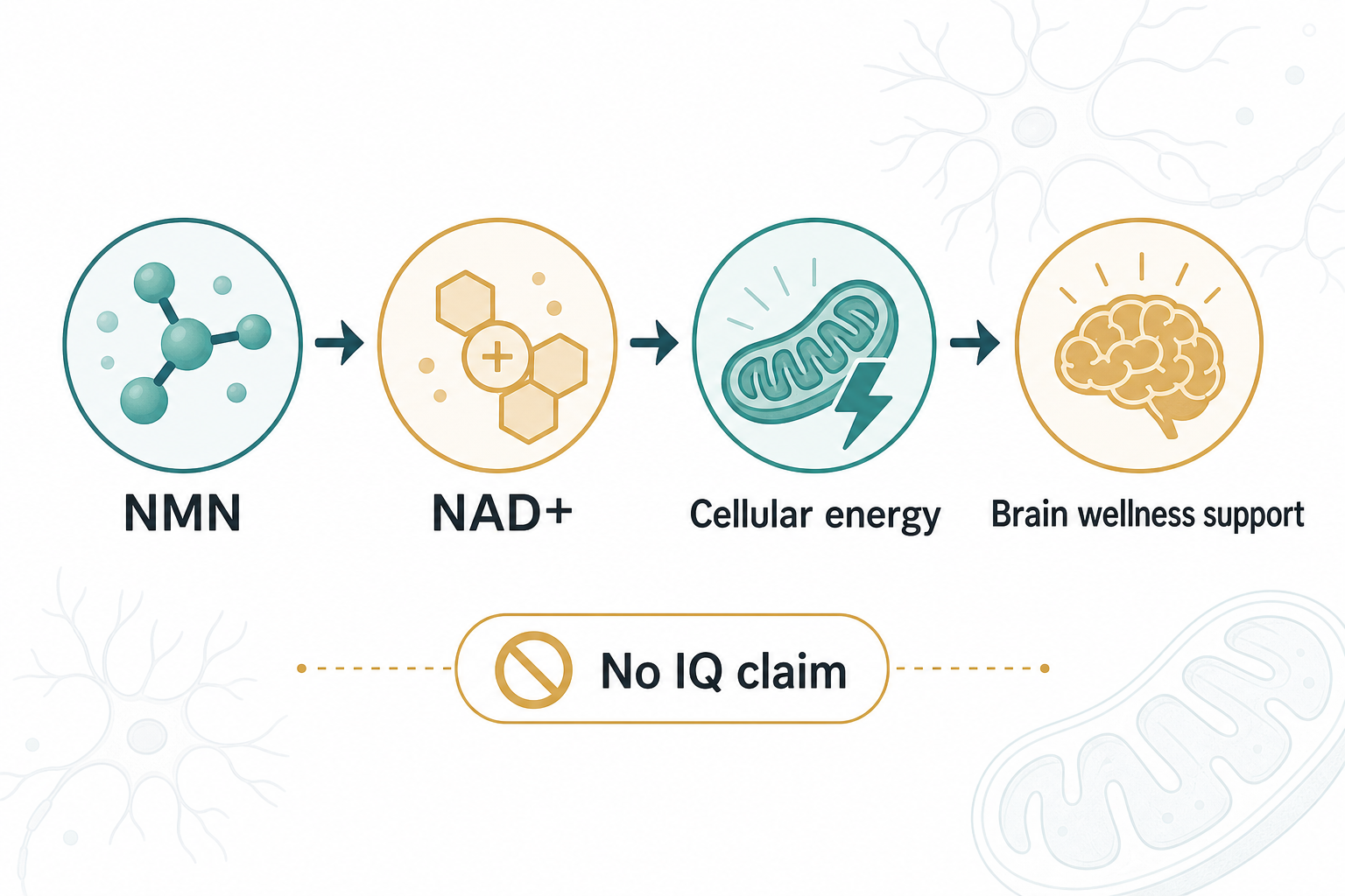 AIDEVI NMN brain support language use and avoid checklist