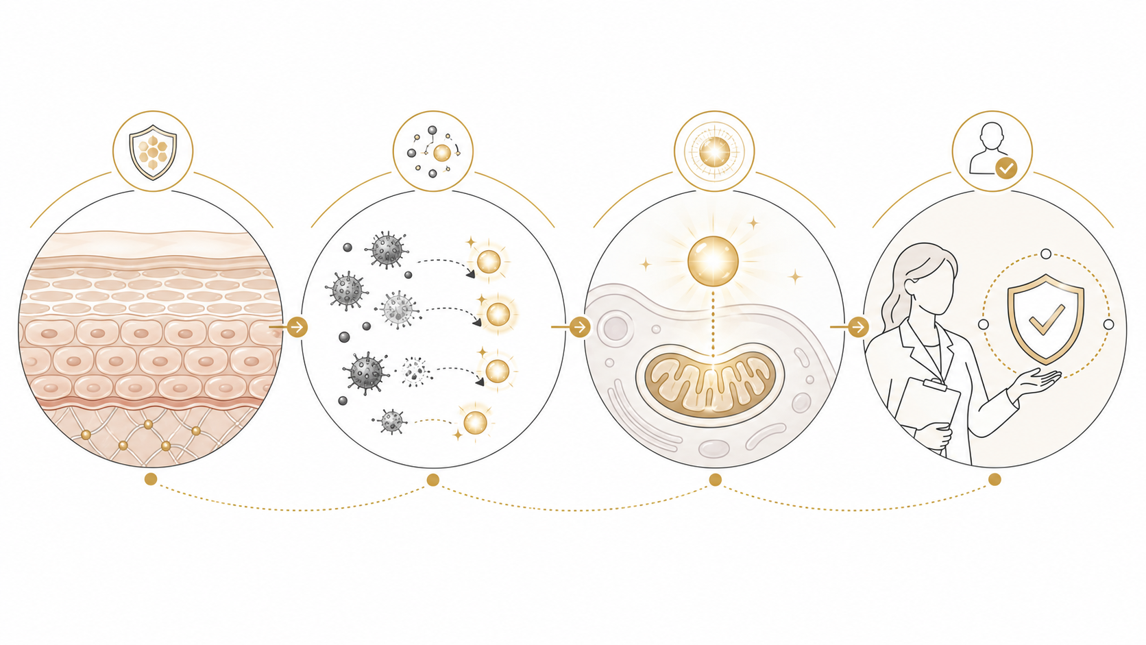 Text-free infographic showing skin barrier, oxidative stress, NAD+ cellular support, and clinician guidance