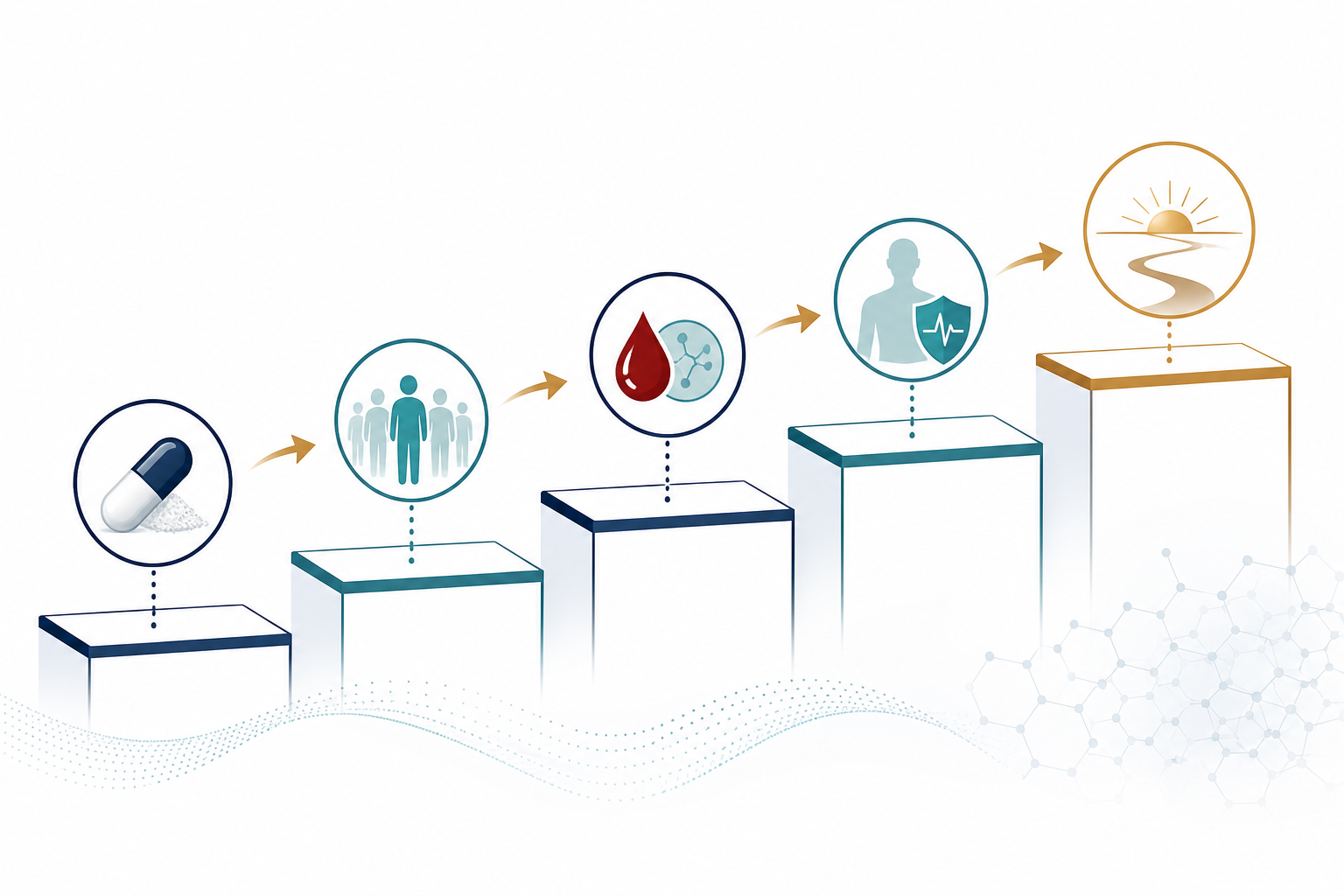 Evidence ladder showing an NMN formula, defined study participants, blood NAD marker, short-term monitoring, and open long-term research horizon