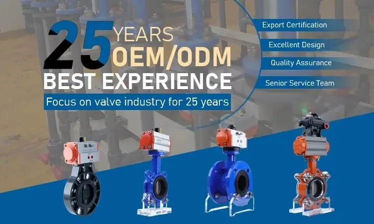 industrial-valve-oem-odm-manufacturer