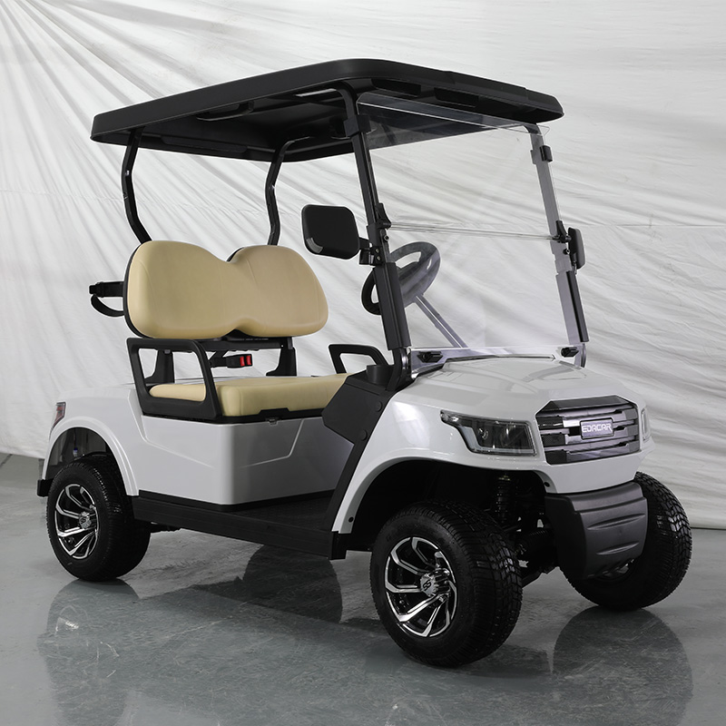 E918-2 4KW AC Motor 2 Seater Electric Golf Cart 4 Passengers Hunting Buggy For Sale