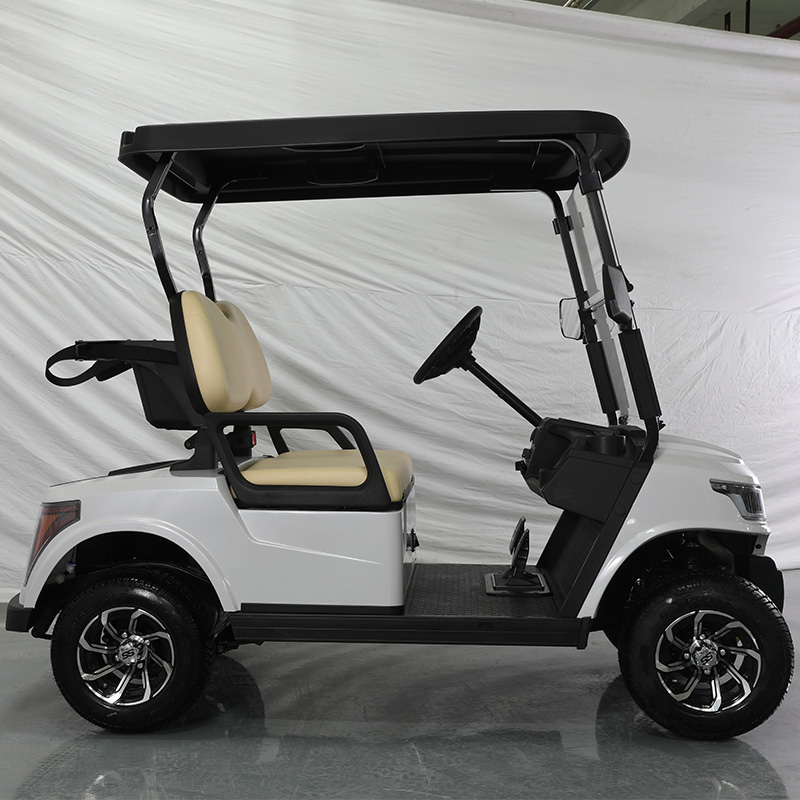 E918-2 4KW AC Moteur 2 places Voiturette de golf électrique 4 passagers Buggy de chasse à vendre