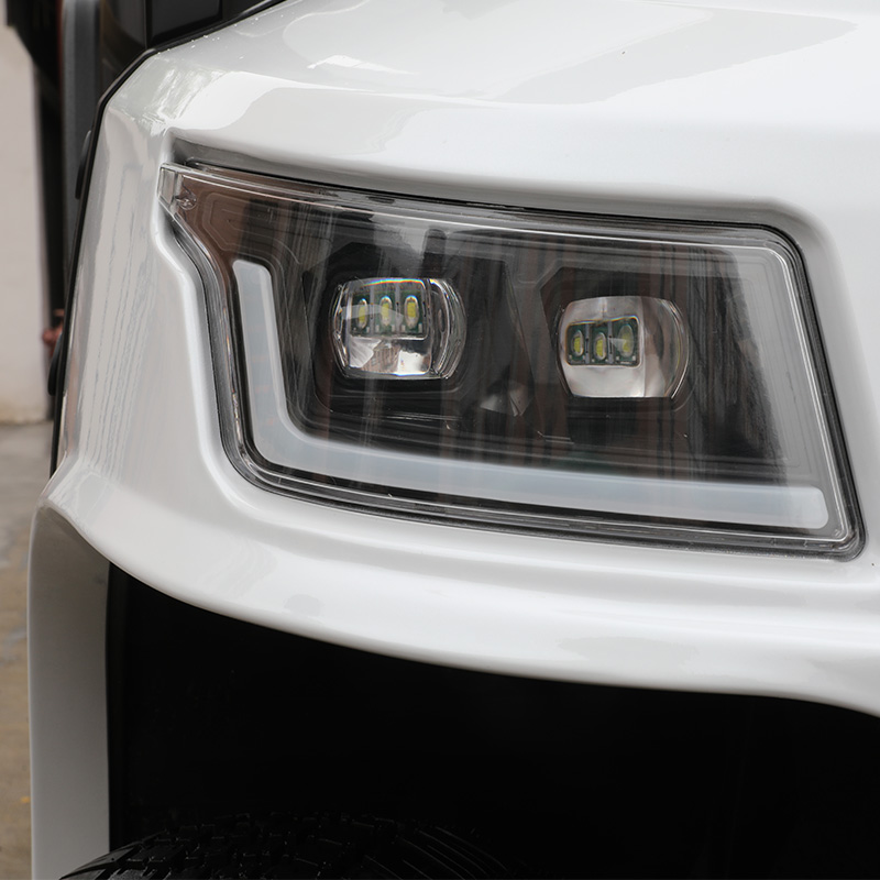 E918-2 4KW AC Moteur 2 places Voiturette de golf électrique 4 passagers Buggy de chasse à vendre
