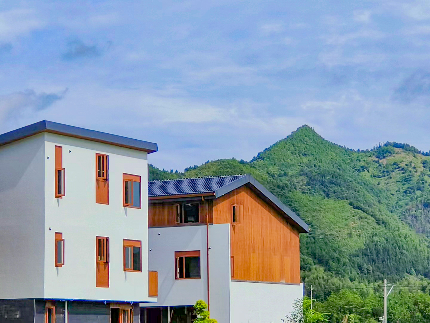 Sustainable Building Solutions with Modified Wood Engineered Wood Timber Material