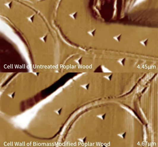 Modified Wood Process