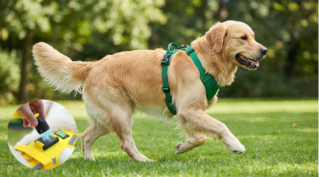 Over-the-Head Dog Harness
