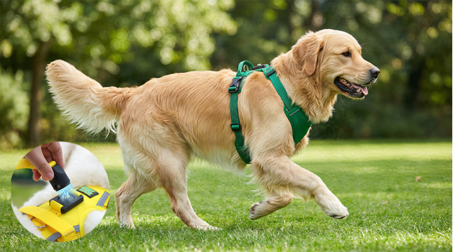 Professional Guide: Why Choose an Over-the-Head Harness