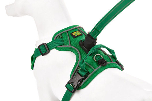 Dog Harness Guide