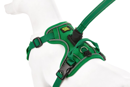 Why Is a Harness Kinder for Dogs? These 4 Truths You Must Know