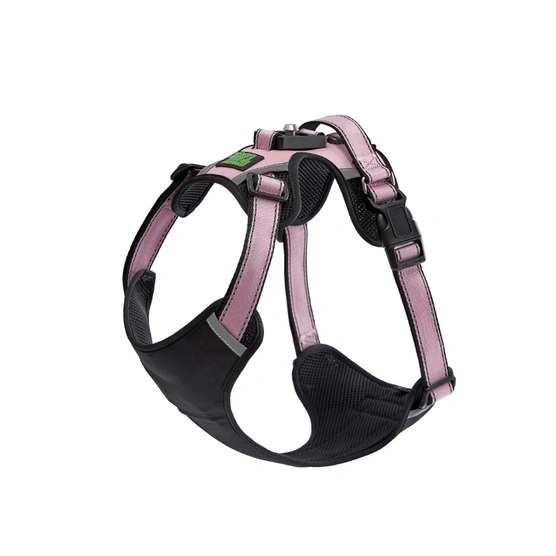 Why Lightweight Dog Harnesses Are Better for Small and Active Dogs