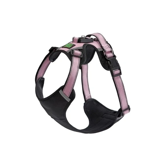 Active dog wearing a lightweight dog harness