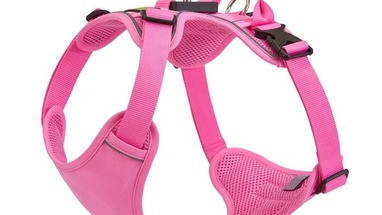Quick Release Dog Harness vs Step-In Harness: Which Is Faster and Safer?