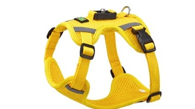 Best Adjustable Dog Harness Features for Growing Dogs and Puppies