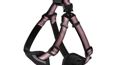 How to Prevent Chafing and Pressure Marks with a Comfortable Dog Harness