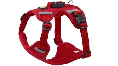 How a Dog Harness with Handle Improves Safety and Dog Control
