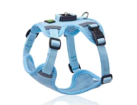 Reflective Dog Harness vs Standard Harness: Which Is Safer at Night?